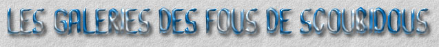 galerie fous de scoubidous