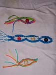 tchapanas004