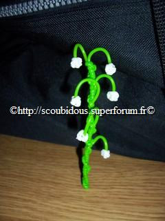 tchapanas009